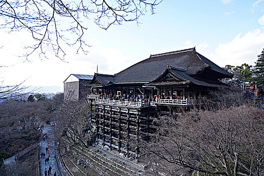 那里可以卖到麦可奈因162-162863