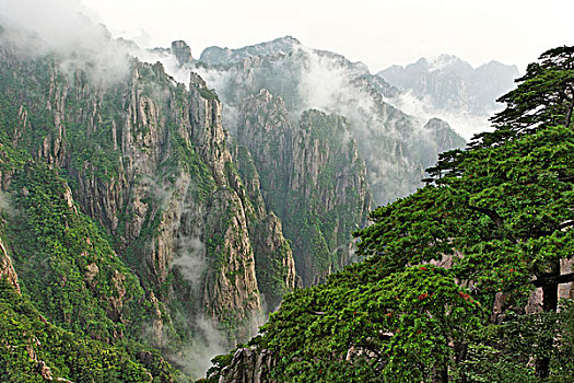 有没有听话药强效迷幻商城正品C1B8D97C5-18975